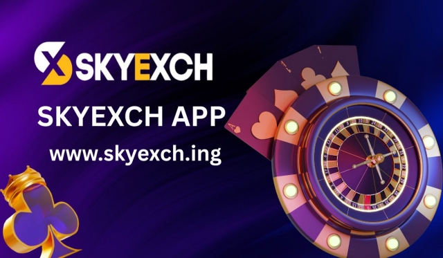 Skyexch Login Issues Solved: Quick and Simple Fixes